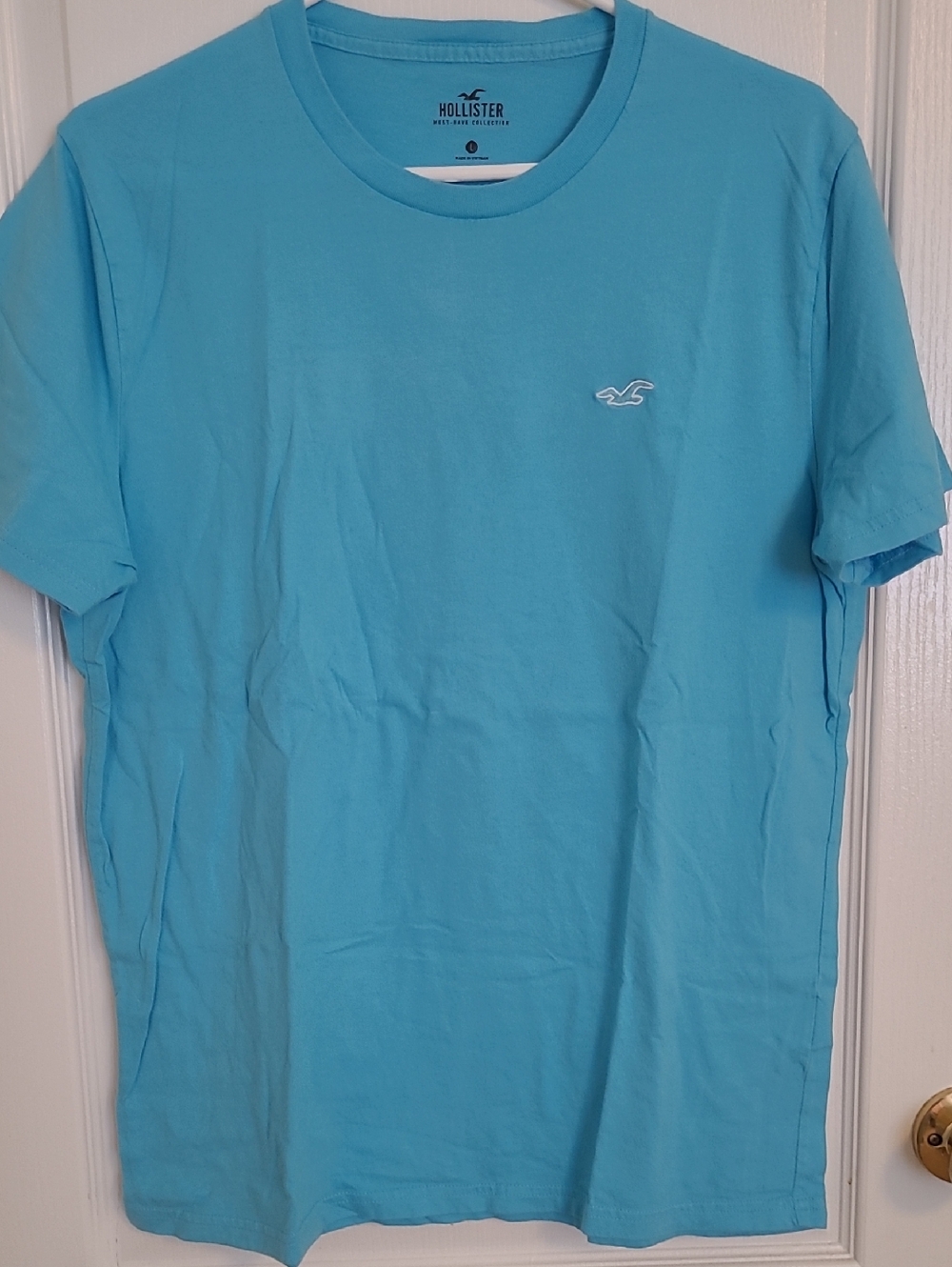 Hollister Men's Short Sleeve Crewneck T-Shirt - Light Blue